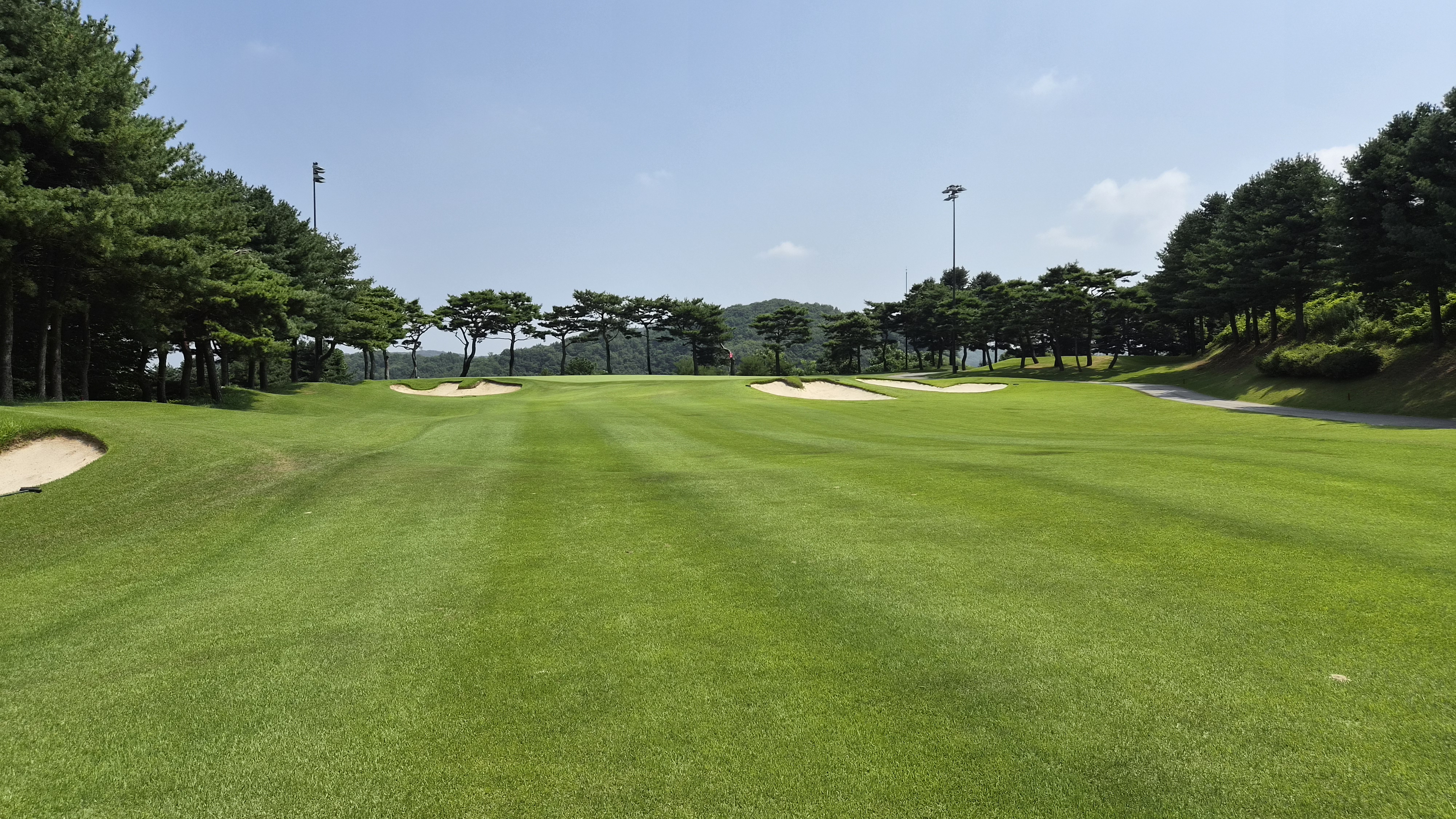 안성cc 코스 사진 및 공략 정보