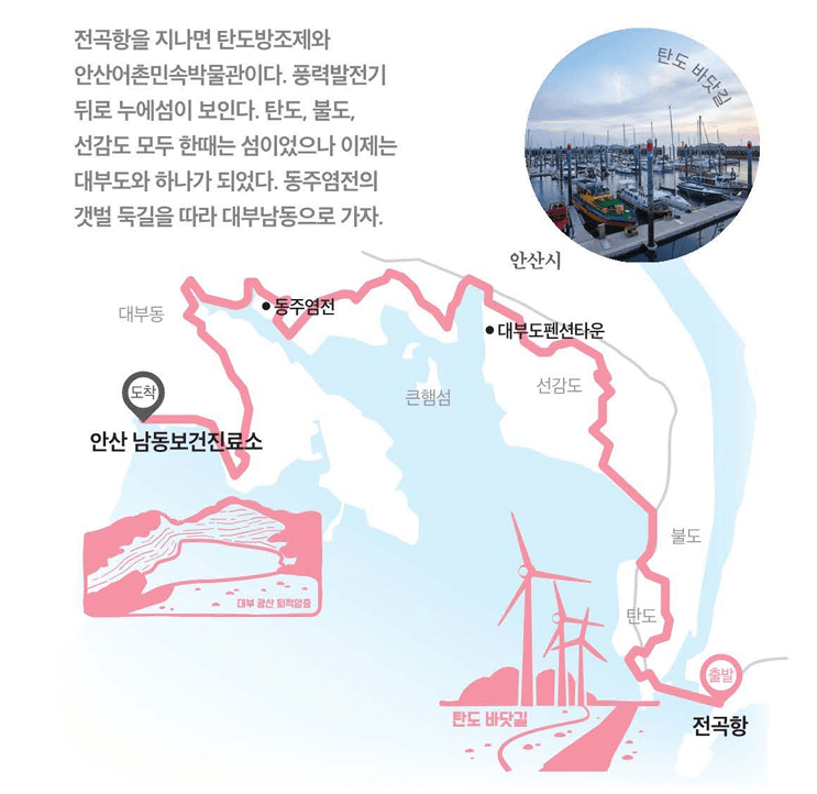 [경기둘레길 안산 49코스 경기갯길] 아름다운 서해 바다를 따라 걷는 힐링 코스 완벽 가이드