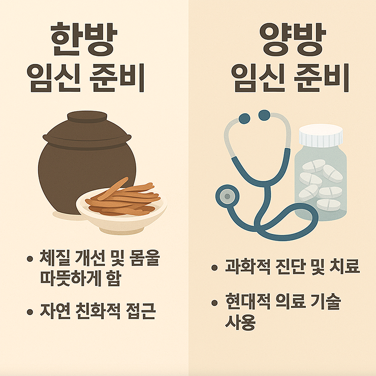 한방 임신 준비와 양방 임신 준비 비교 분석
