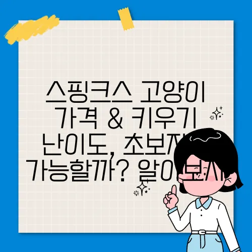 스핑크스 고양이 가격 & 키우기 난이도, 초보자도 가능할까? 알아보자