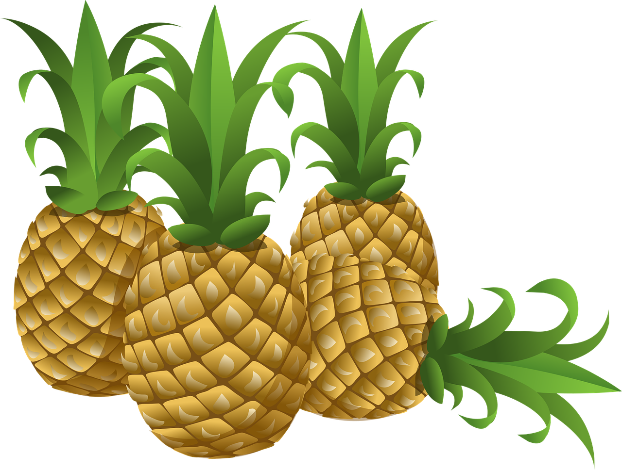 비타민 많은 과일