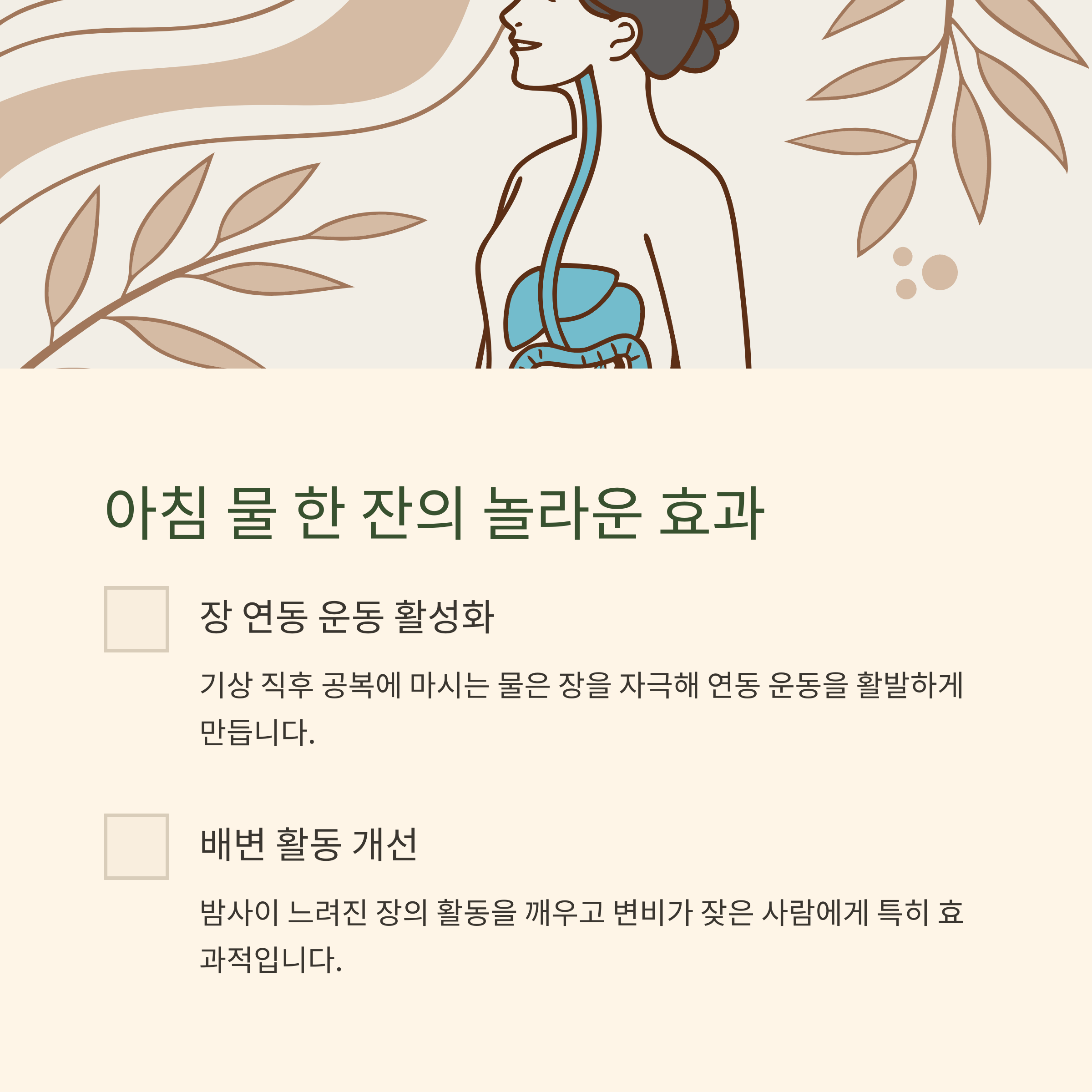 아침 물 한 잔이 장에 미치는 영향