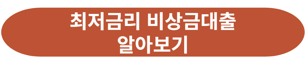 카카오뱅크 비상금대출 서울보증보험