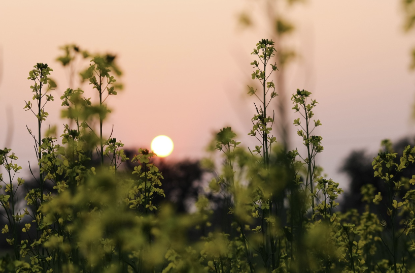 연금개혁과 정년연장: 지속 가능한 사회를 위한 선택