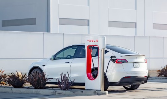 테슬라 모델Y 가격