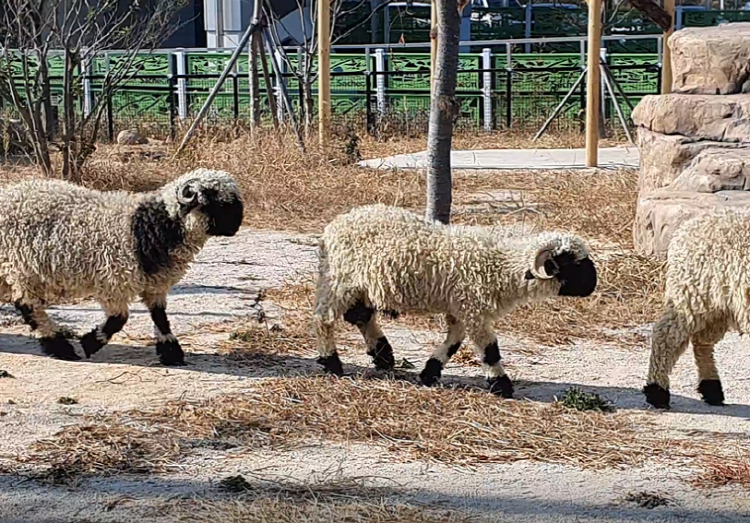 아라마루 아쿠아리움