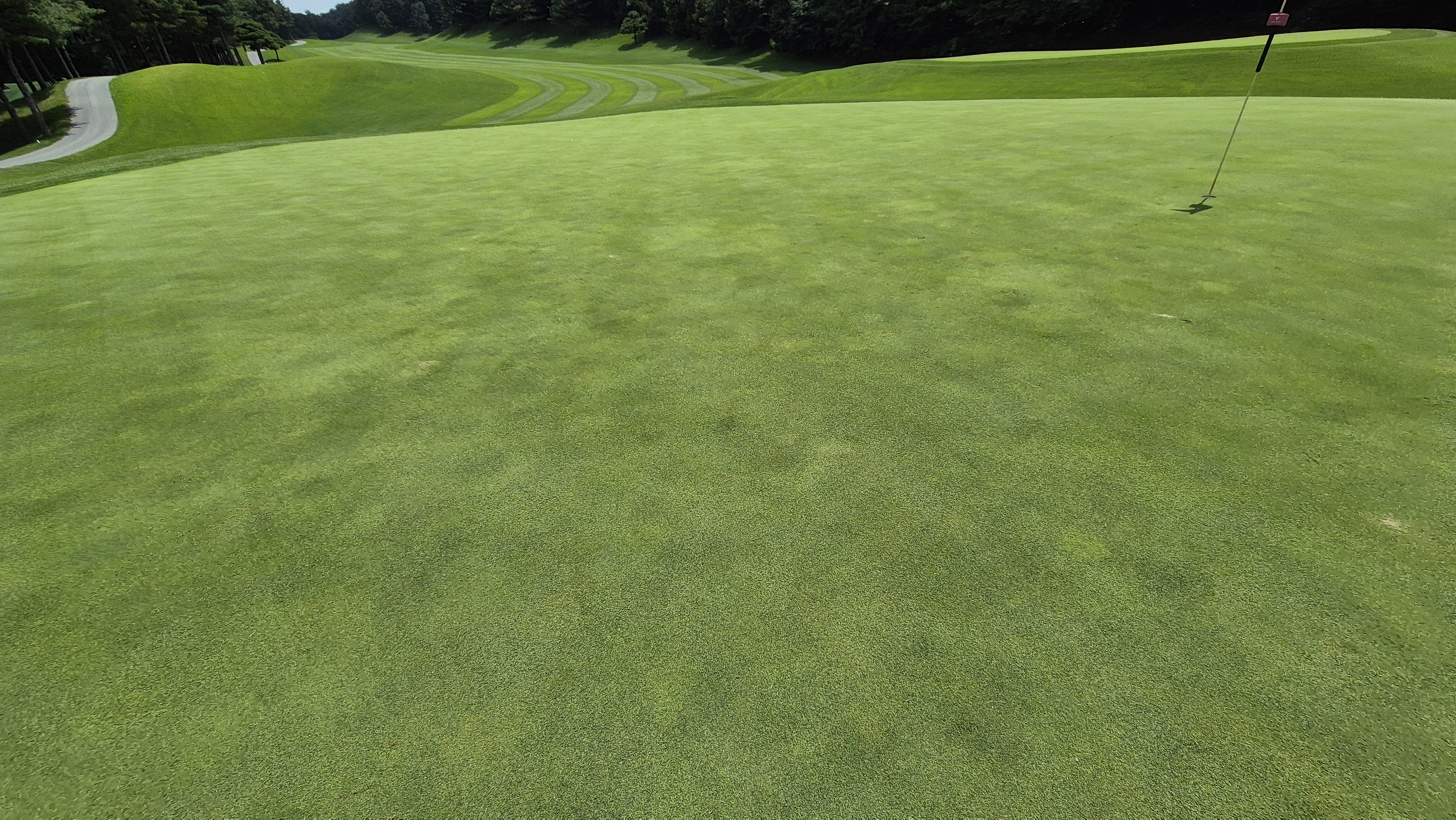 한성cc 오렌지-그린 코스 라운드 후기