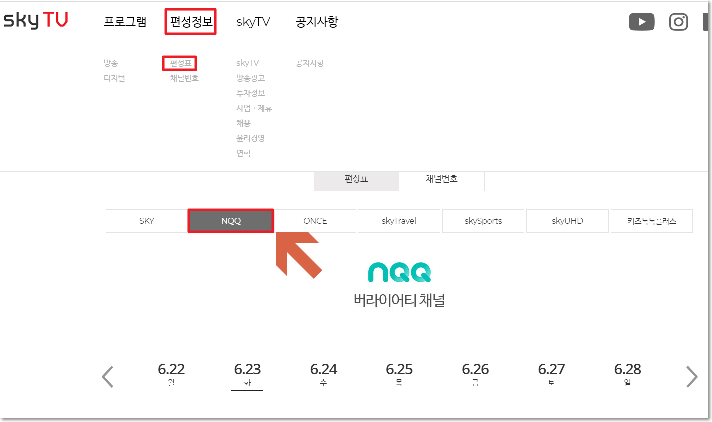 편성정보