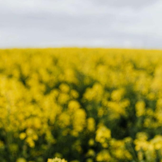 청년 월세 지원&amp;#44; 다른 복지랑 중복 수급 가능할까?