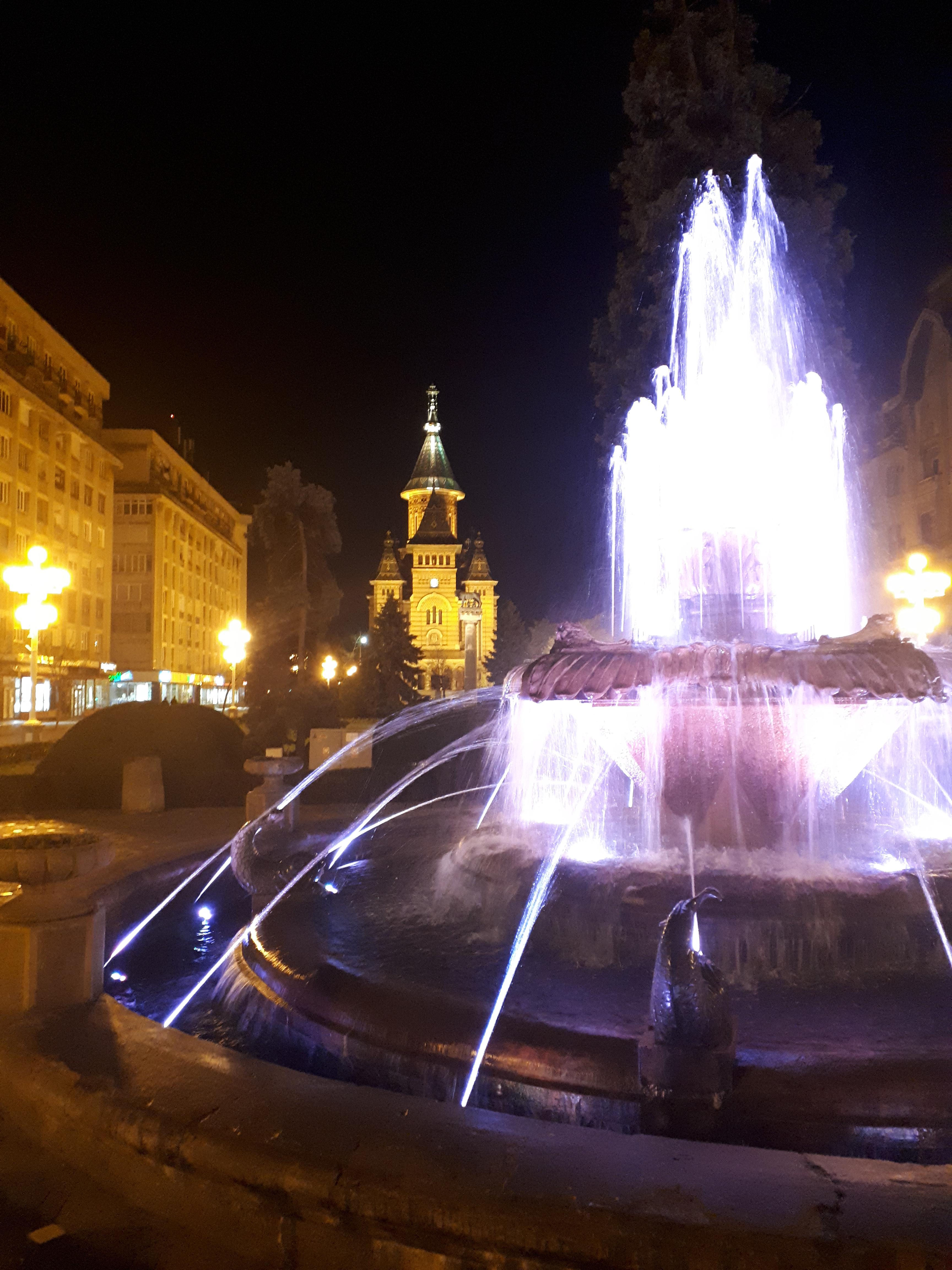 루마니아 티미쇼아라 정교회 대성당과 분수대