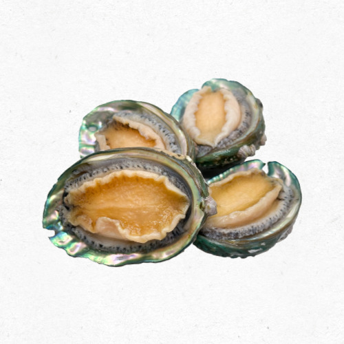 전복 내장 제거