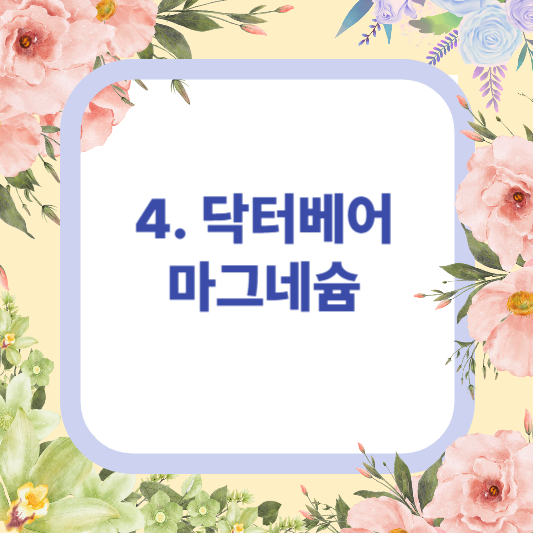 다이소영양제 건강기능식품 추천 제품 TOP 4