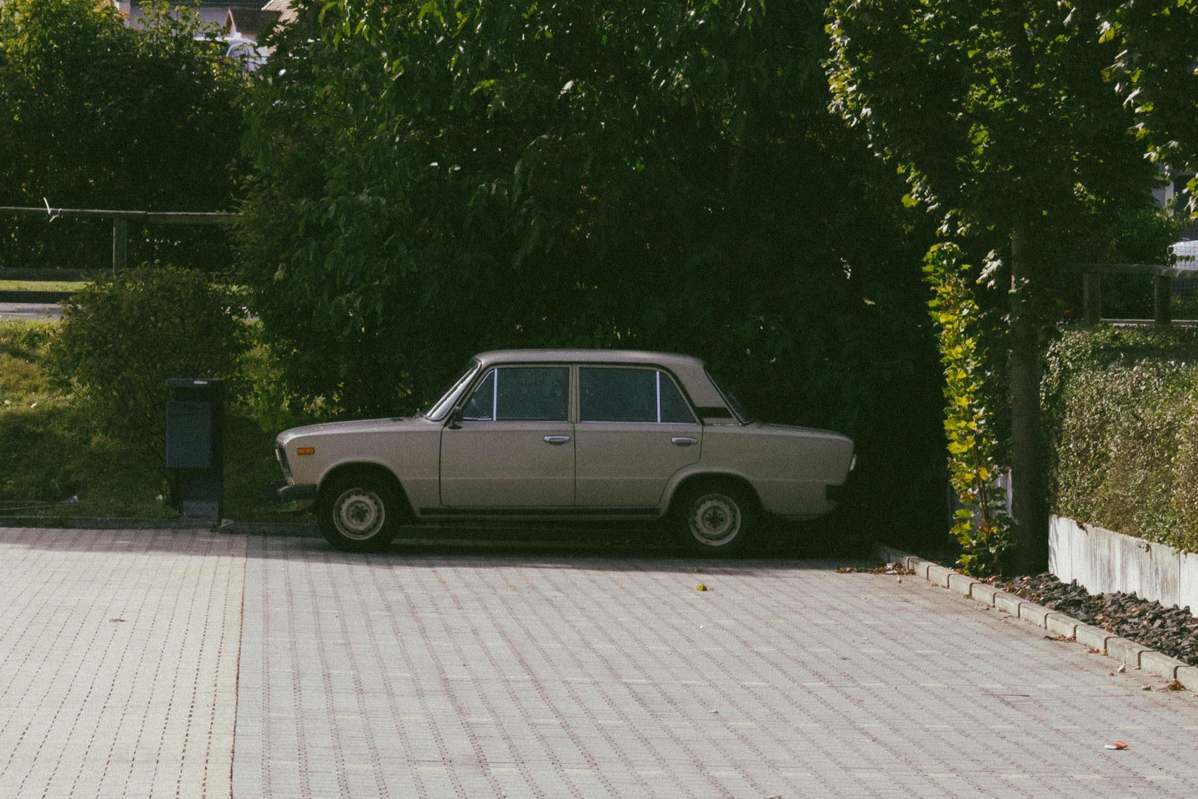 여름철 차량 이미지