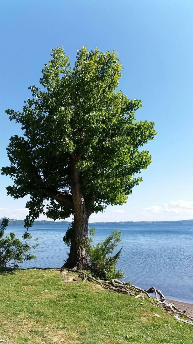 화담숲 예약방법 입장료 할인혜택
