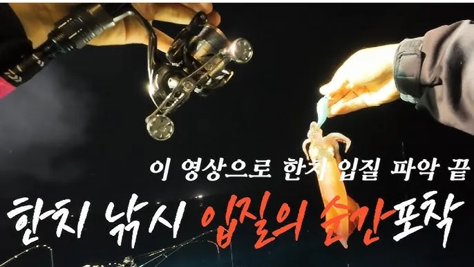 낚시 입질 파악 감도 좋은 채비 바늘 크기 조정 방법_6