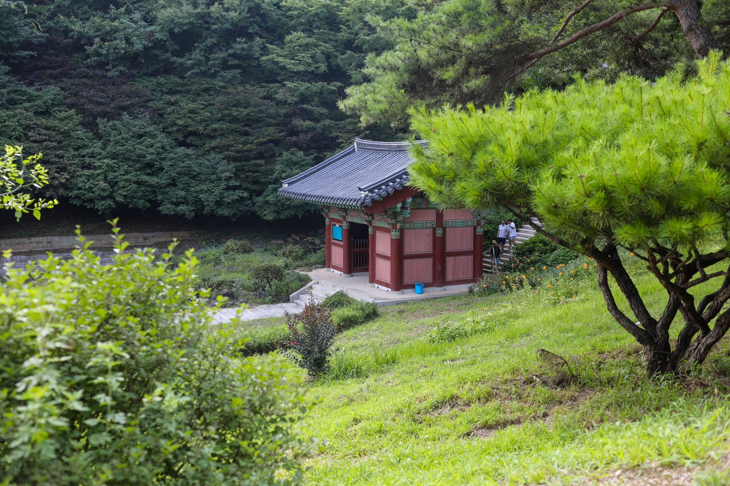 도피안사