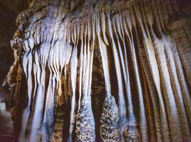 단양여행&amp;#44; 고수동굴 종유석 모습