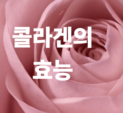 콜라겐의 효능