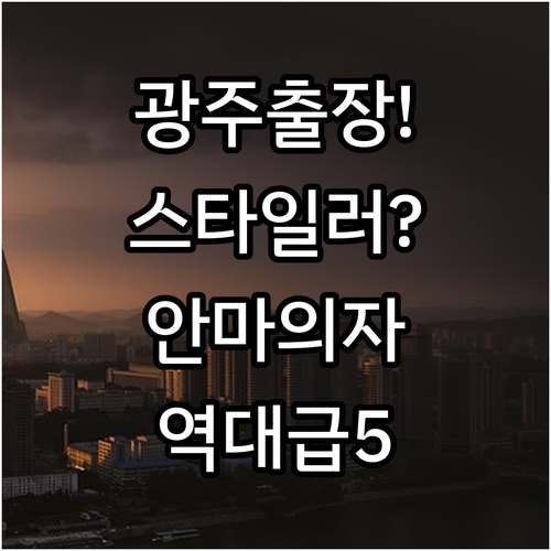 광주 출장 숙소 추천 5곳 스타일러 ..