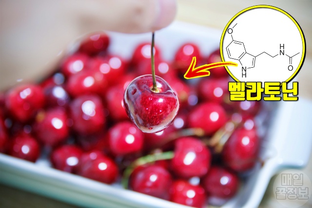 체리 효능,잠 잘오게 하는 방법,잠 잘오는 음식,멜라토닌 효능 음식,트립토판 효능 음식,팁줌 매일꿀정보