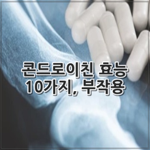 콘드로이친 효능 10가지, 부작용