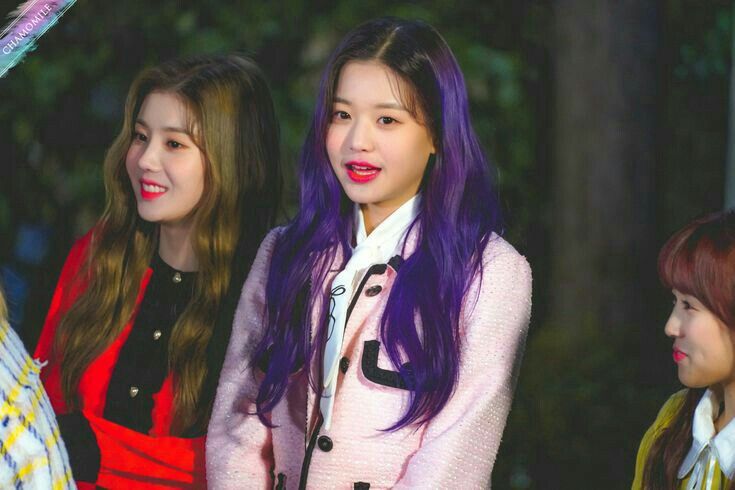 아이즈원 프로듀스48 사진 모음 아이즈원 프로듀스48 사진 모음