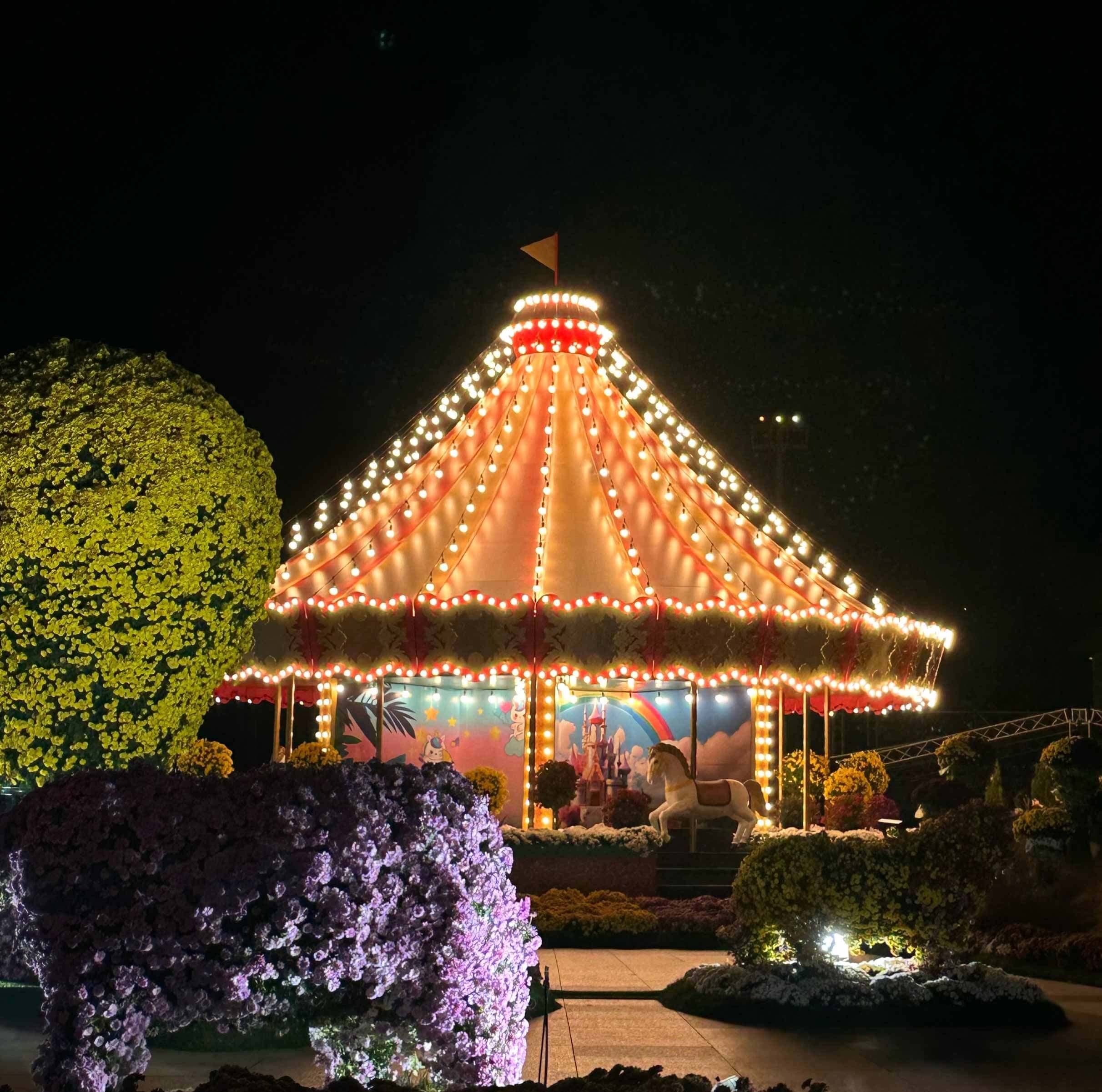 2025 함평 겨울빛축제