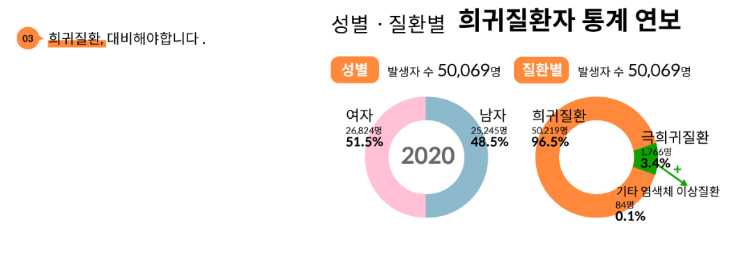 희귀질환자-통계