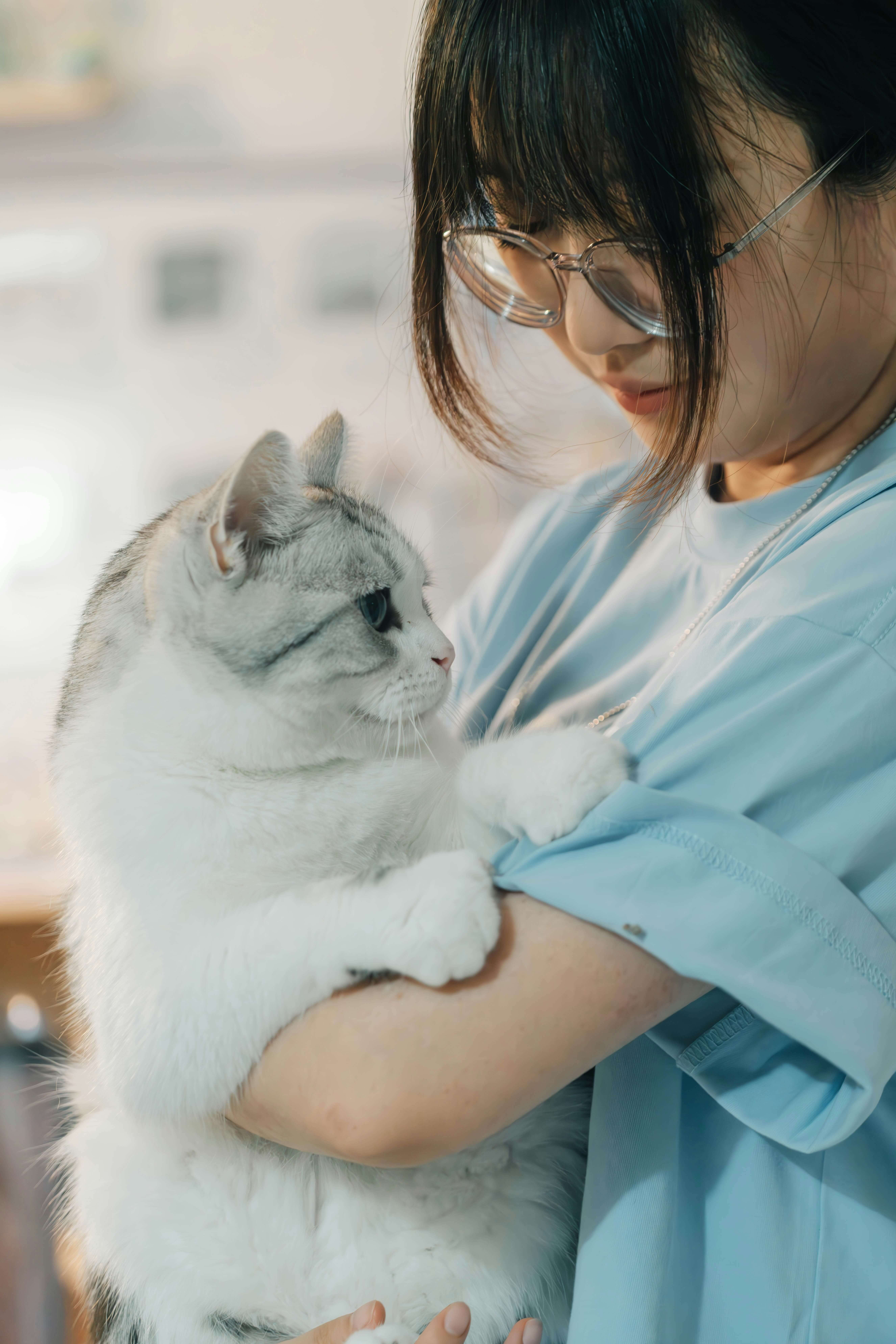 수의사에게 안겨 검진을 앞둔 회색 줄무늬 고양이와 보호자