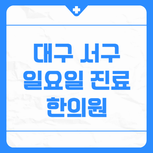 대구 서구 일요일 진료 한의원