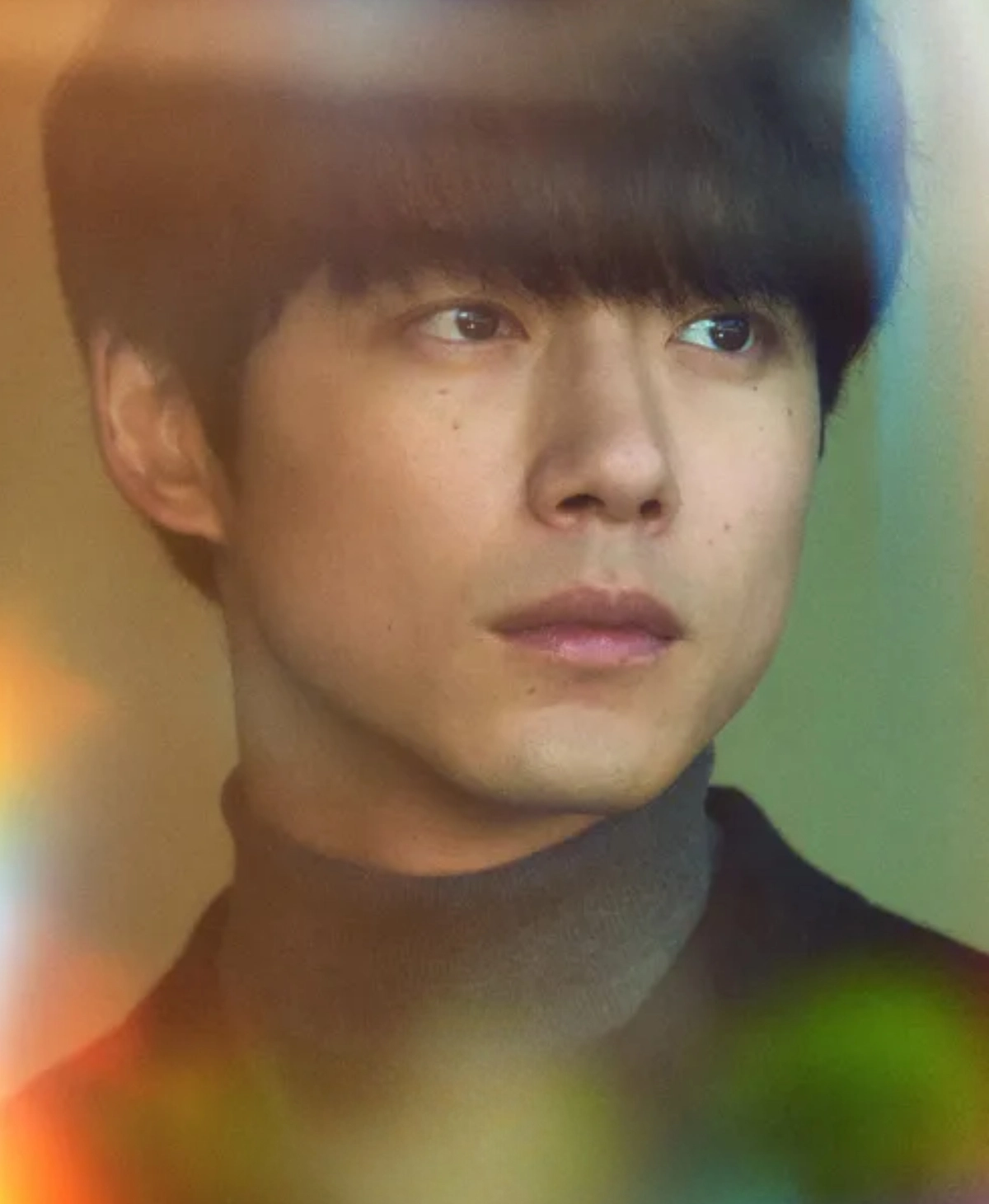 사카구치 켄타로 사진