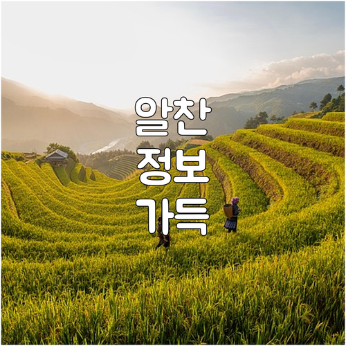 2025 동대문구 전세사기 100만원..