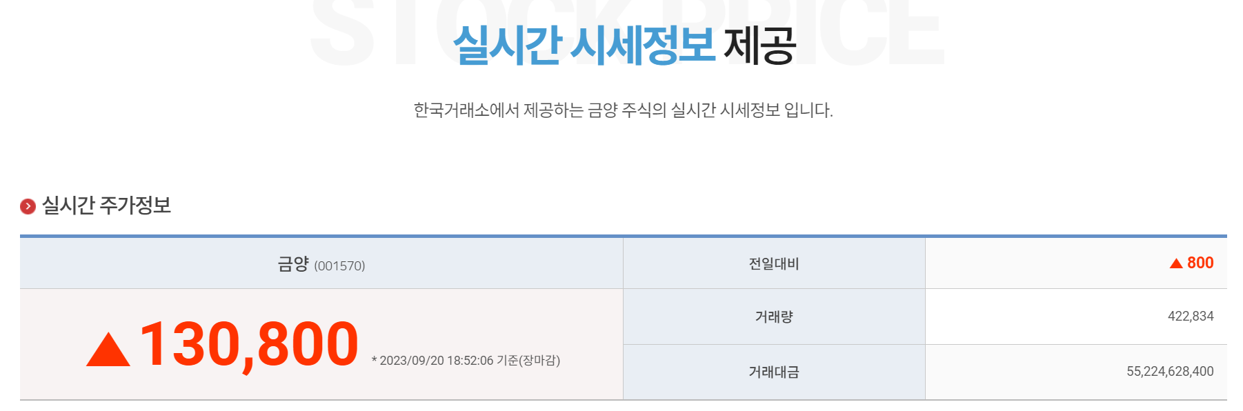 금양 주가