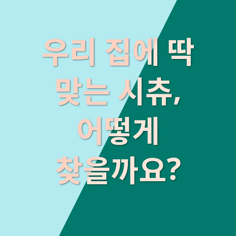 시츄 입양_1