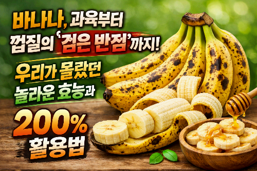 바나나, 과육부터 껍질의 '검은 반점'까지! 우리가 몰랐던 놀라운 효능과 200% 활용법