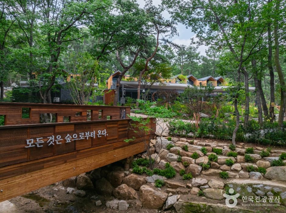 서울 최초의 도심형 자연휴양림 '수락휴' 완전 정복! 예약 꿀팁까지