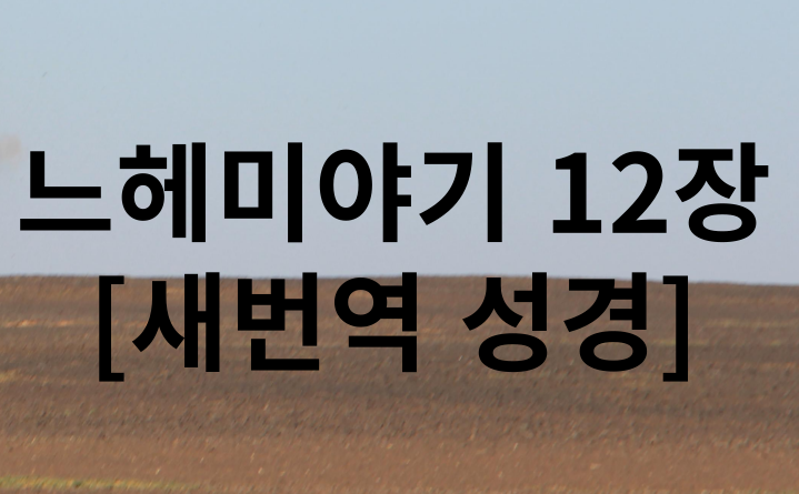 새번역 성경 느헤미야기 12장 말씀