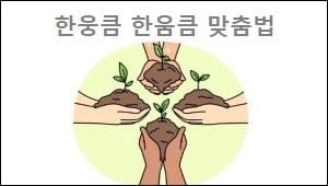 한웅큼 한움큼 맞춤법