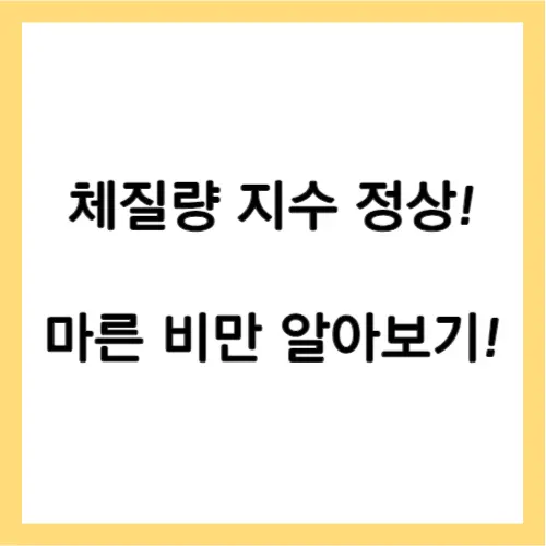 마른비만 원인