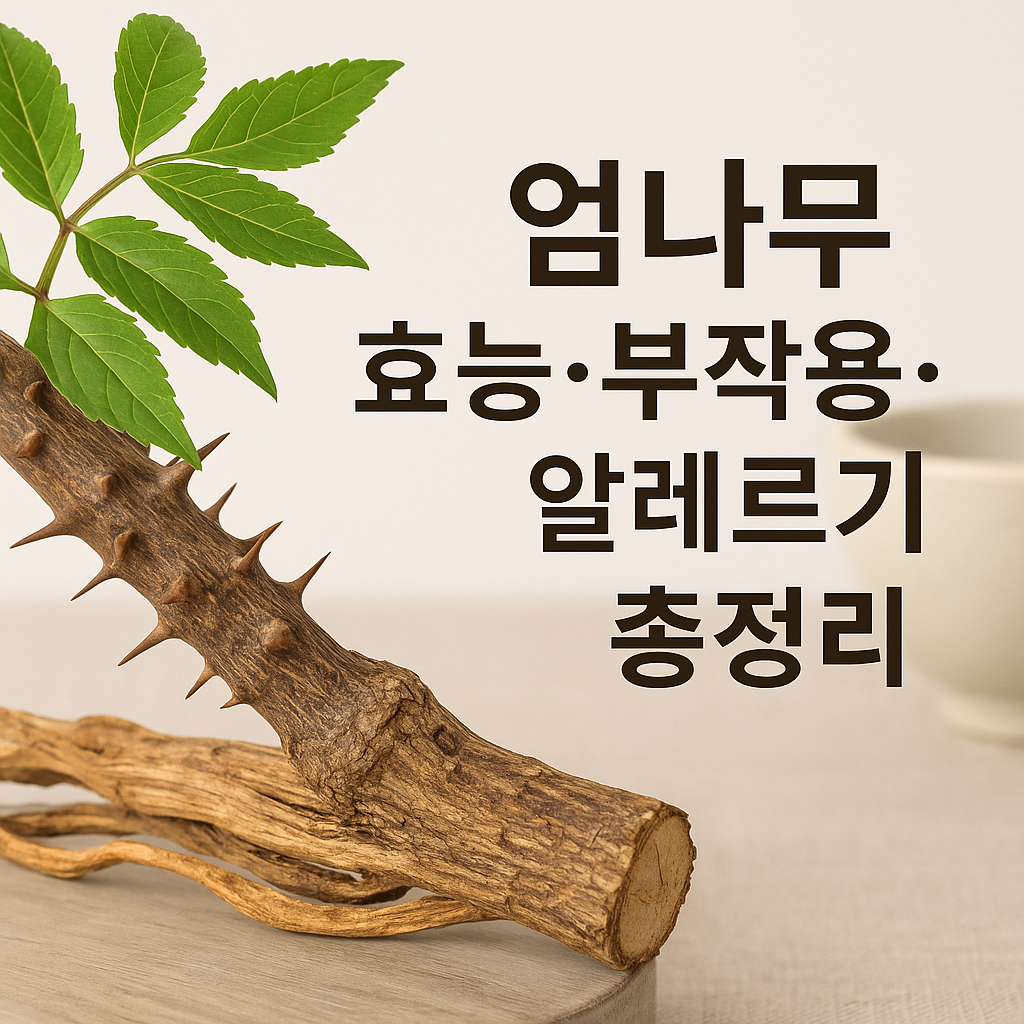 엄나무 효능&middot;부작용&middot;알레르기 총정리