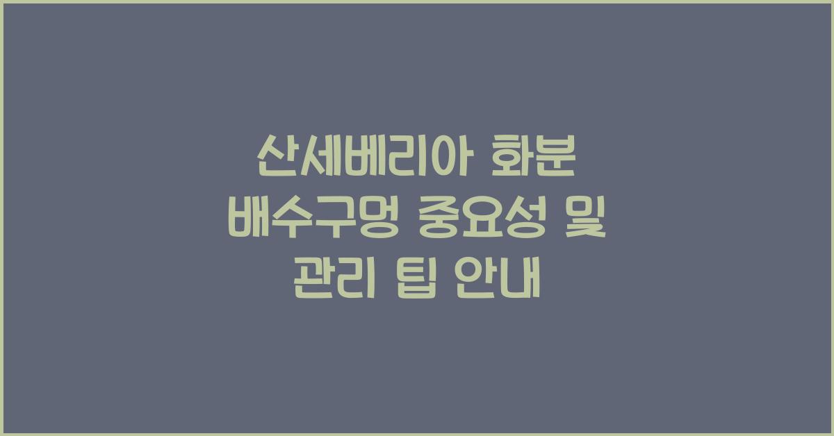 산세베리아 화분 배수구멍 중요성