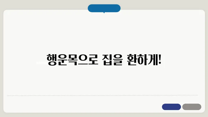 행운목 키우는 늜그루구