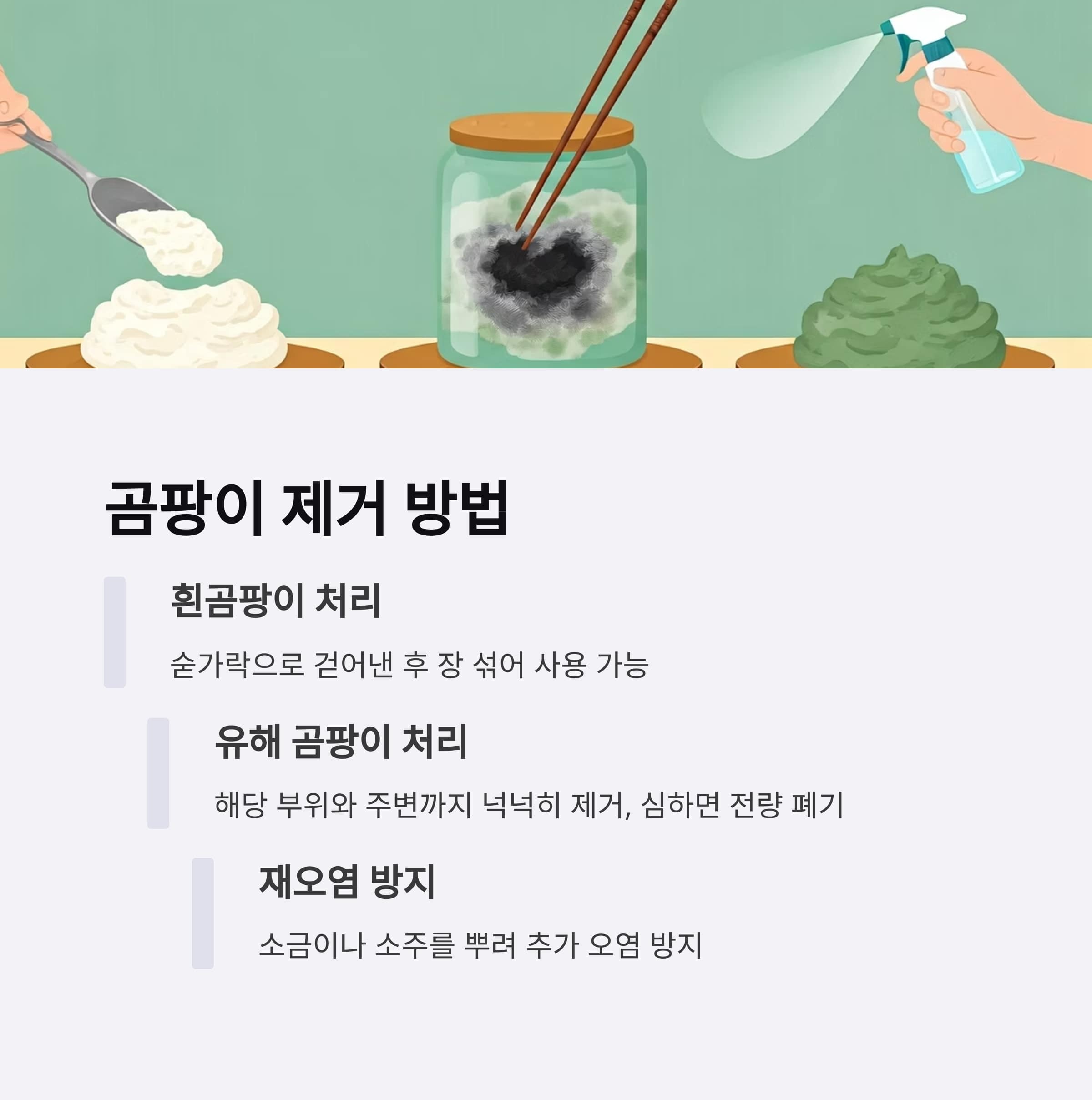 곰팡이가 핀 장류를 안전하게 제거하고 처리하는 방법을 순서대로 보여주는 시각 가이드 – 흰곰팡이 제거, 유해 곰팡이 폐기 단계 포함
