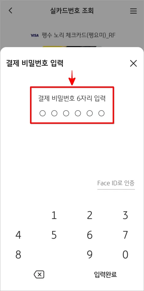 결제 비밀번호 6자리를 입력