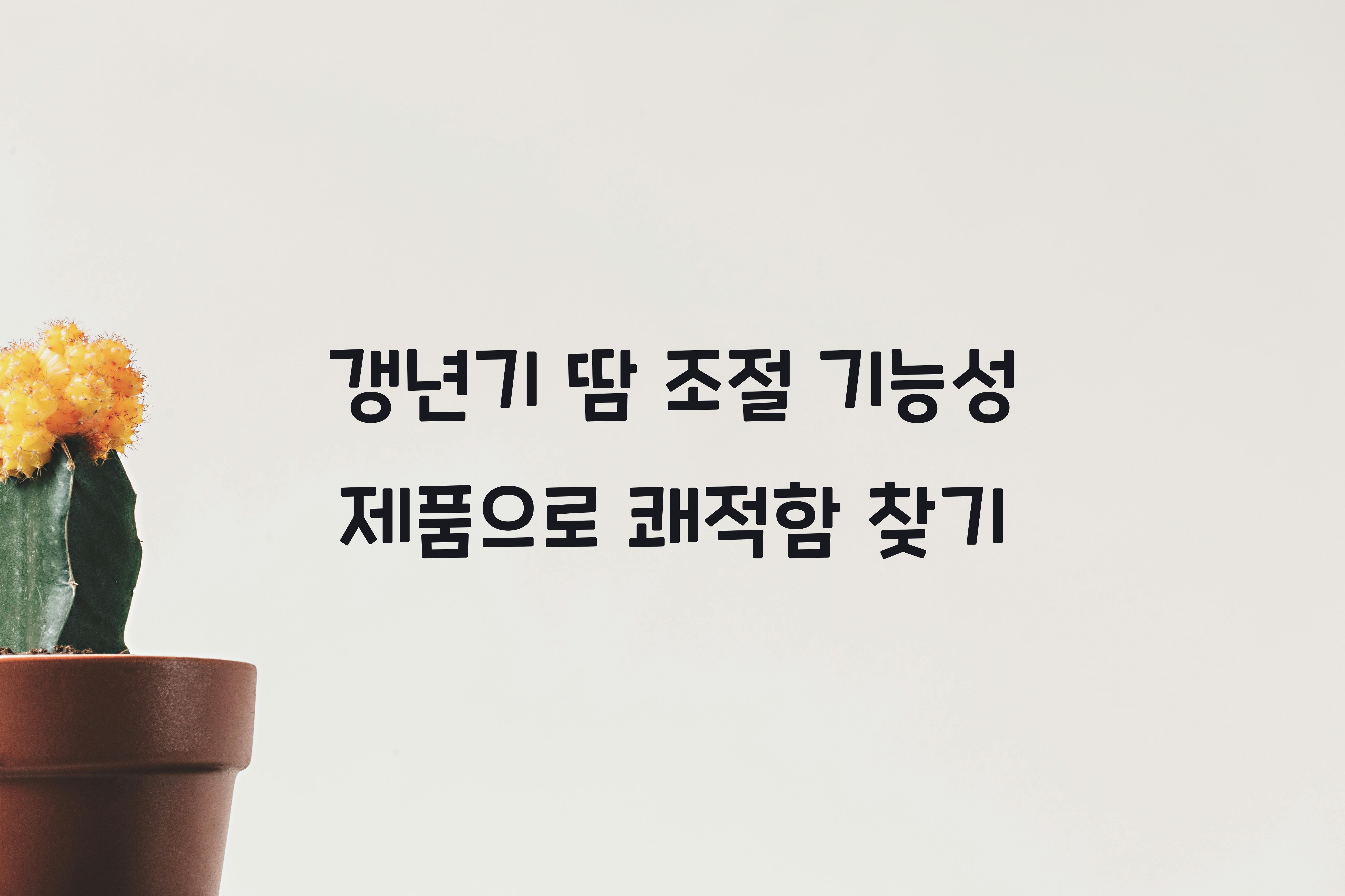 갱년기 땀 조절 기능성 제품