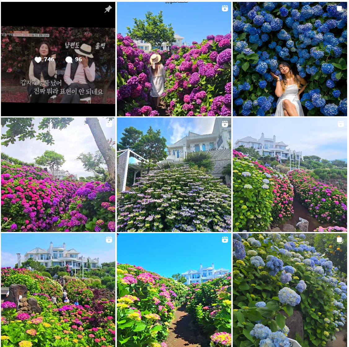 마노르블랑 공식 인스타그램