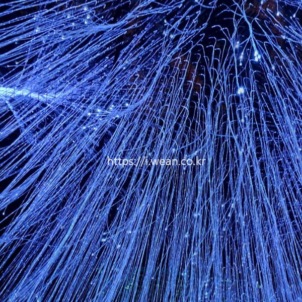 디피랑 별 빛 관람길