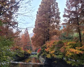 장태산 자연휴양림 예약_29