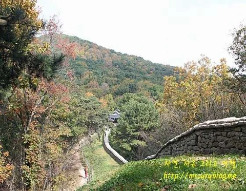 금정산