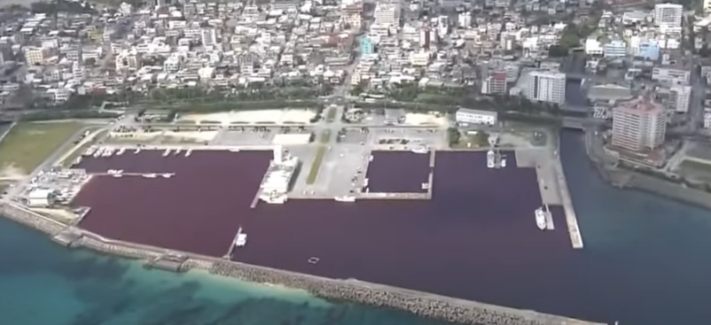 냉각수로 붉게 물든 일본 바다